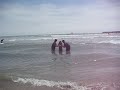 DOHENY STATE BEACH BAPTISMS 2