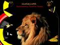 videos de galatasaray CiMbOm fenerlilere yuhhhh...