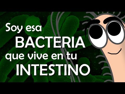 Imagen de previsualización de YouTube