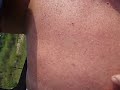 11/14 1 AND 1/2 YEAR OLD BLACK HEAD DUBBLE BUBBLE(11) WOW BRAND NEW VIDEO !