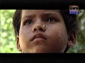 DD Documentary for janaseva