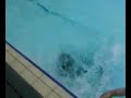 Sauvez Willy