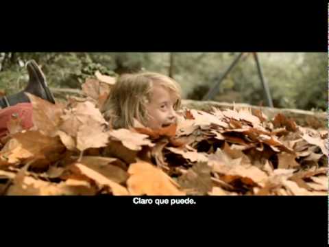 Imagen de previsualización de YouTube