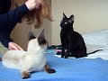 SNIKT! AND THWIP! AGED 20 WEEKS
