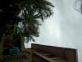 videos de 15 year old Dunks 10 ft