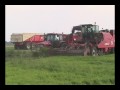 Parijse wortels rooien Trekkerweb.nl