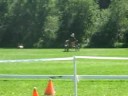Dancer and Bob Koopman Cones at GMHA CDE 2008