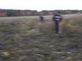 Horses rescued from swamp.