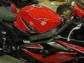 Racefit Slash Cut on an 06 GSXR 1000