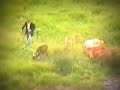 S?rata?lar (Zek) Köyü / 1. Bölüm S?rata?lar (Zek) Köyü / 1. Bölüm
