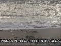PLAYA NUDISTA EN LA PERLA !! .....Y PESCA PELIGROSA.