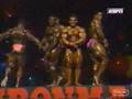 Bodybudiler-Flex-Whe