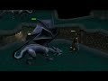 Search Video