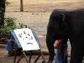elephants painting