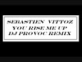 sebastien vittoz you rise me up (dj provoc remix )