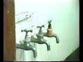 radio caroline pirate radio ship ross revenge filmed in 1986 on the northsea. footage is courtesy of john dwyer and ad roberts.