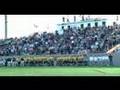 The MCLA: Faces