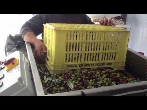 how to make something not so lemony