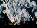 paul mccartney - israel 2008 - blackbird