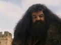 Harry Potter en de geheime drugshandel 2
