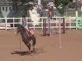 GP ABHIR de Hipismo Rural de 2007