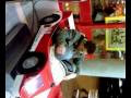 Simon - Car Driving :D