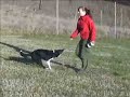 Retrieving games