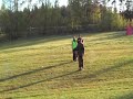 Silakka IPO 3 Koskenpaa