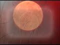 gabi-isac-spiral.html