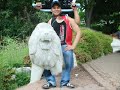 bocah-kere-daegu.html