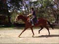 Tori Jumping - BIGGER, BETTER, FASTER!!