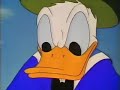 Pato Donal Loco