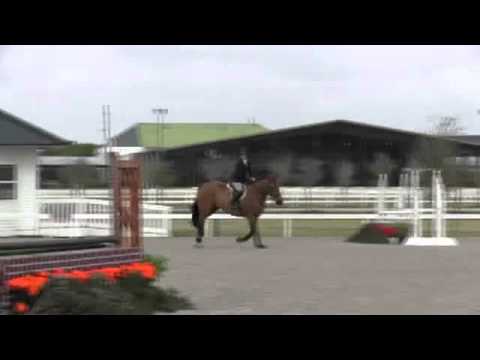 horses grand national