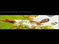 kady Samake_kanignon kady Samake_kanignon