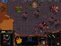 Starcraft Brood War - Zerg 05 True Colors in 14:14 - Part 1/2
