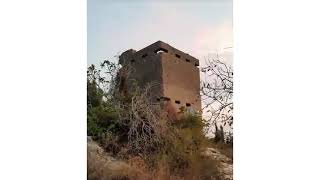 صور الاستحكامات (الدشم) التي استهدفت قرية الشجرة الفلسطينية