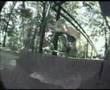 Emerica The Gold Rookie Contest - Marcin Myszka