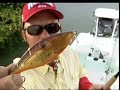 Toothy fish destroys wooden lures