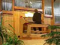 orgonaszakos n�vend�kek viii. orsz�gos versenye salg�tarj�n 2007. buxtehude: f dur toccata �s f�ga. ea: makai istv�n

teljes felv�tel: http://www.videoplayer.hu/videos/play/50056