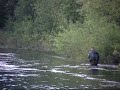 Fishmaster Gaula Fly Fishing 1