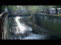 Aobadai Morning Walk