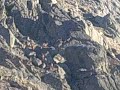 Sierra de Gredos: El Arenal, las cabras y los ciclistas