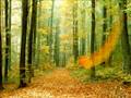 Channeling higher energies & automatic writing