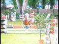 equitazione