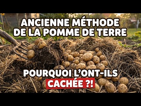 Image de prévisualisation YouTube