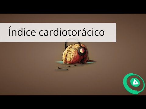 indice cardiotoracico}