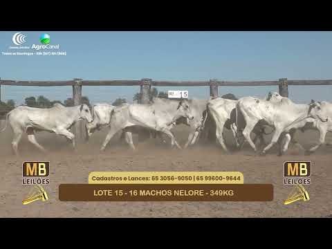 554� LEIL�O VIRTUAL MB LEIL�ES