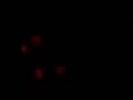 videos de 0209_0009.avi