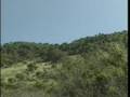 videos de Kenya Travel Doc - Part 08