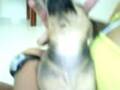 videos de Filhote teckel dashund Liza e jubs